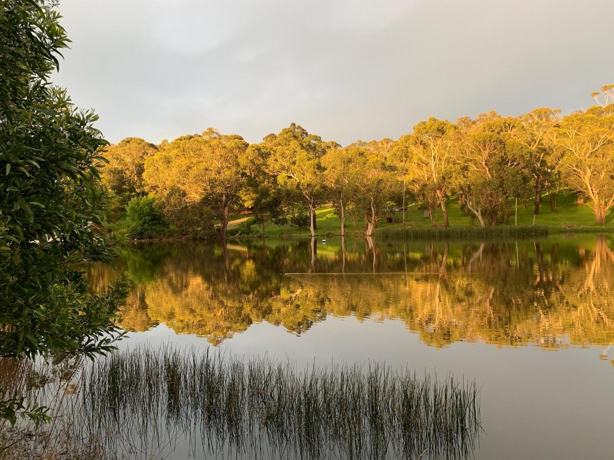 Iluka Retreat Glamping Village Red Hill South ภายนอก รูปภาพ